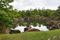 The garden pond inside NijÃÂ Castle. Kyoto Japan